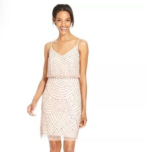 Adrianna Papell's Beaded Sheath Dress Blush Size 6
